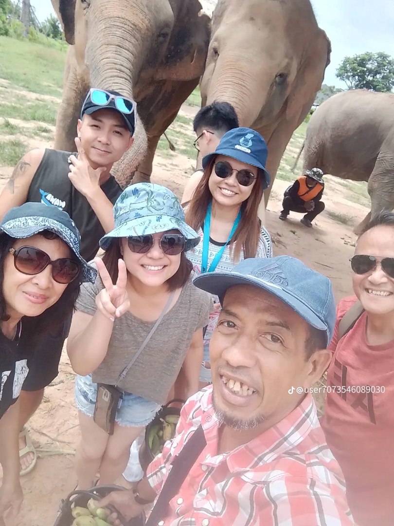 Travellers on a day trip to an elephant sanctuary with Sonny